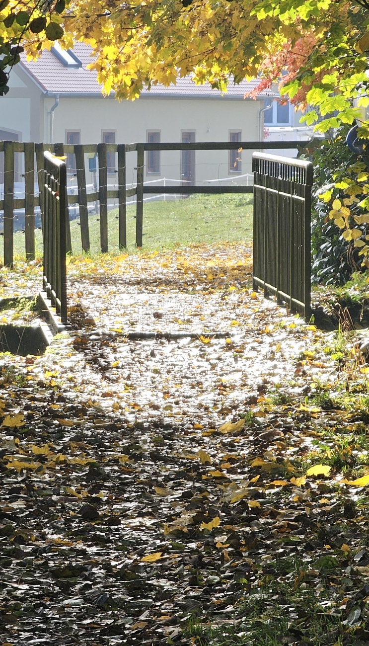 Herbst-Momente... Brücke übern  Wasserfall...