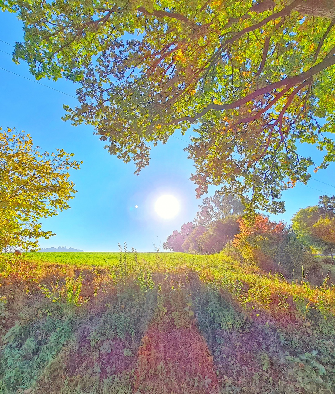 Foto: Jennifer Müller - Heut früh schien beim Aufwachen die Sonne so schön durchs Fenster, da konnten wir nicht anders... wir mussten einfach raus.<br />
Ab nach Godas und hoch zum Armesberg... 