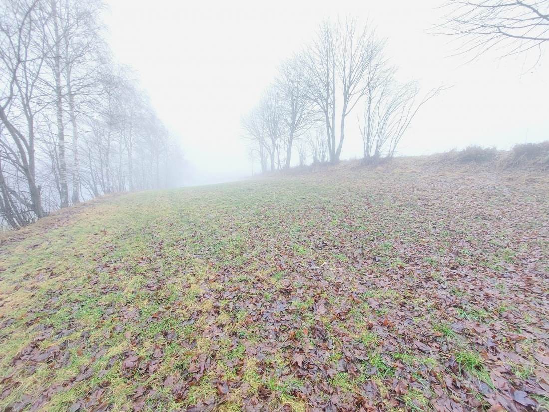 Foto: Martin Zehrer - Knochen auf einer Wiese bei Godas...<br />
Am Donnerstag, 30. Dezember 2021, haben wir beim Spaziergang dieses Bein eines Rehs ca. 300 Meter oberhalb von Godas entdeckt.<br />
An z 