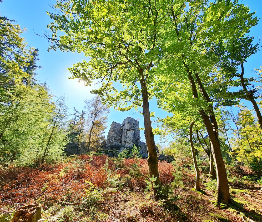 Foto: Jennifer Müller - Morgens Wandern in Godas und Nachmittags hoch zum Steinwald. Ein herrlicher Herbst-Sonnentag machte es uns unmöglich heut zuhause zu bleiben. Wir mussten einfach raus in  