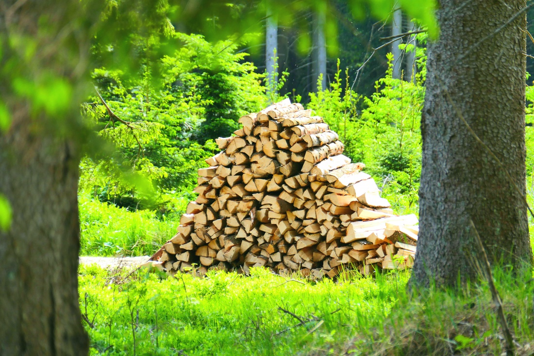 Foto: Martin Zehrer - Ein Holzstoß im Wald bei Mehlmeisel  