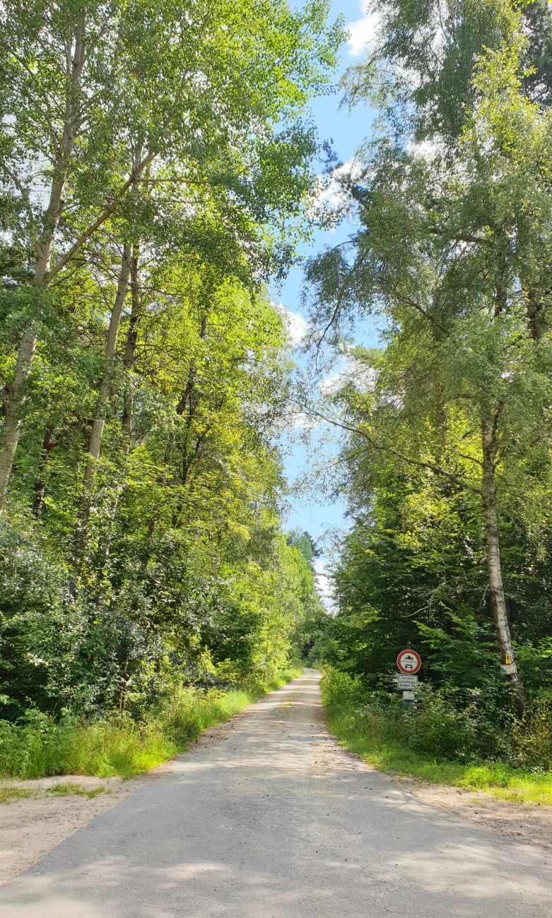 Foto: Martin Zehrer - Oberhalb von Haselbrunn geht ein Feldweg in den Steinwald hinein. <br />
Hier biegt man richtig ab, wenn man zum Waldhaus rauf möchte...<br />
<br />
Radtour: <br />
Immenreuth - Kulmain - A 