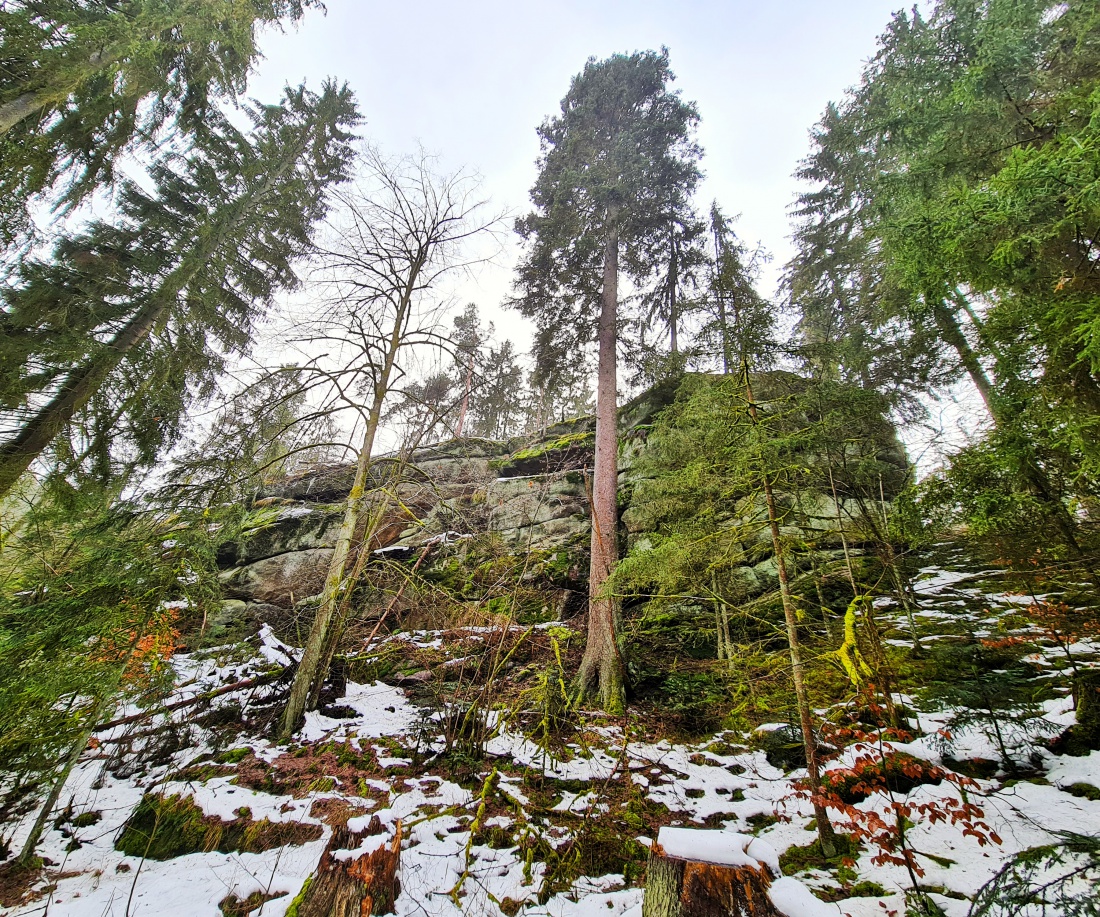 Foto: Jennifer Müller - Heute am 05.02.2021 unterwegs im Waldnaabtal 