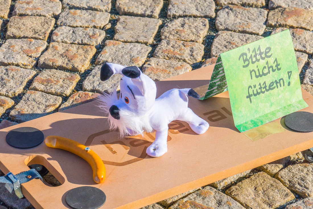 Faschingszug durch Waldeck 2026 - WCV Helau!!!

Am 15. Februar 2026 war es wieder soweit. Tausende Besucher jubelten den Narren zu, das Wetter wurde wie bestellt, wunderschön. Die Sonne strahlte und alle Menschen waren voller Faschings-Laune. WCV Helau!!!!
