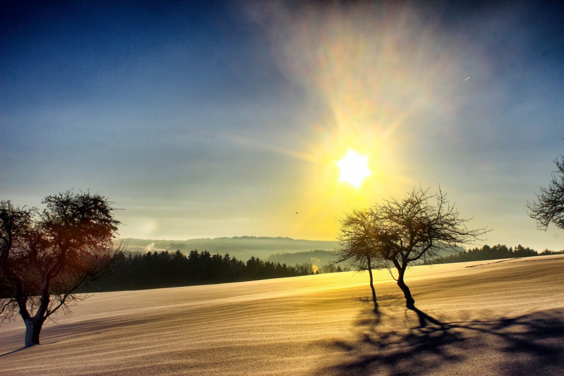 Foto: Joshua Richter - Winterspaziergang im Winter in der Nähe von Höhhof 