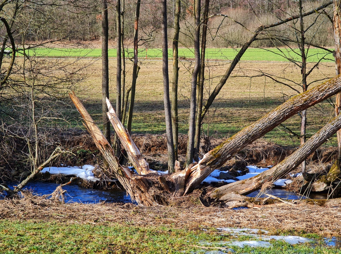 Foto: Jennifer Müller - Wenn Hochwasser, Wind und Biber zusammenarbeiten ;-) Gesehen in der Nähe von Grötschenreuth. 