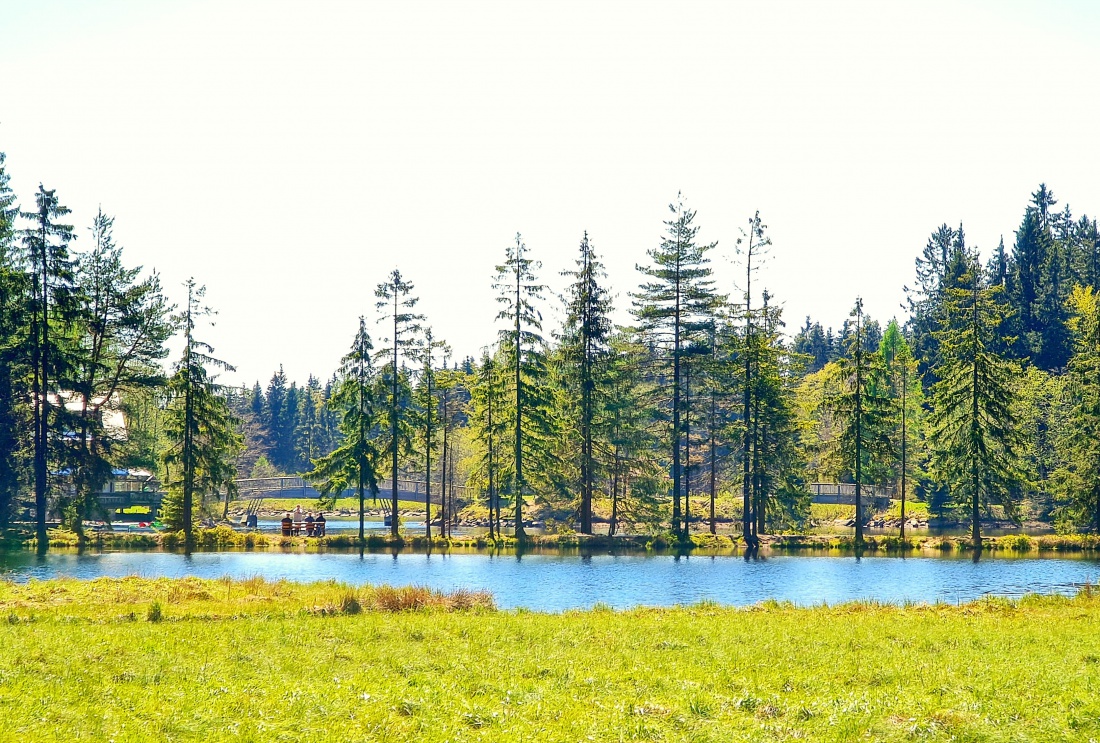 Foto: Jennifer Müller - Am FICHTEL-See in FICHTEL-Berg im FICHTEL-Gebirge :-)<br />
Ein FICHTEL-Traum!!!<br />
Ein wunderschönes Fleckchen Erde!<br />
Was man dort sieht:<br />
Die herrliche Natur, die gerade aus d 