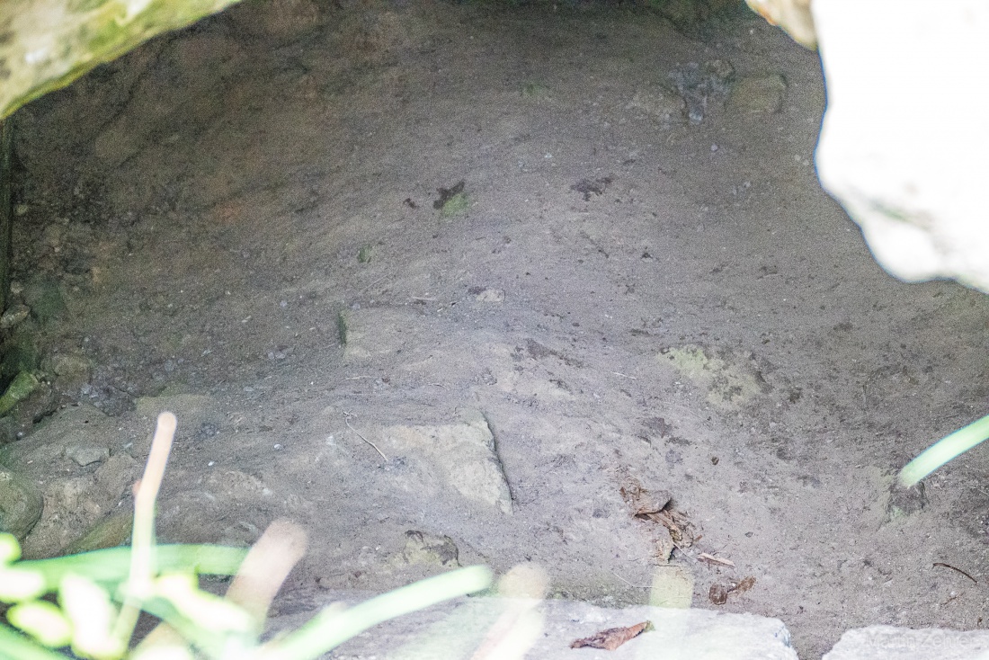 Foto: Martin Zehrer - Der geheimnisvolle Eingang in eine Höhle am Schlossberg bei Waldeck. 