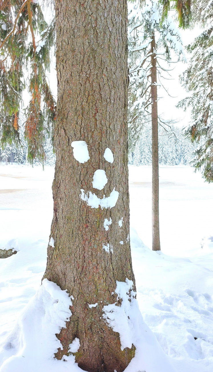 Foto: Martin Zehrer - Ein lachendes Baumgesicht: Unterwegs im Winter am Fichtelsee... &#128578; 