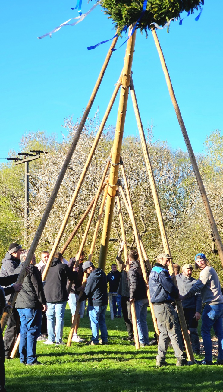 Brauchtum... Maibaum Aufstellen mit purer Manneskraft in Hermannsreuth