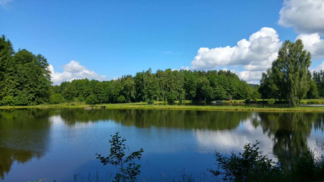 Foto: Martin Zehrer - Weiher zwischen Immenreuth und Kötzersdorf... Top Wetter zum Wandern! 