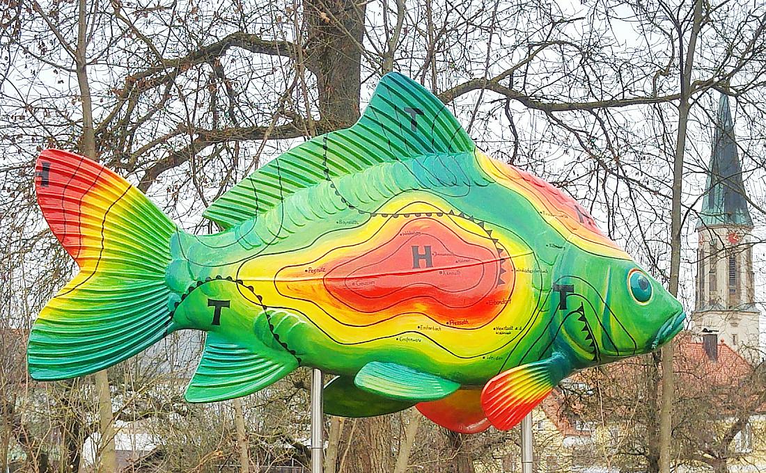 Foto: Jenny Müller - Ein Abschnitt des phantastischen Karpfenweges führt am kemnather Stadtweiher vorbei. Dieser kunstvolle  Karpfen scheint die Zeit der Kirchturmuhr ablesen zu wollen ;-) 