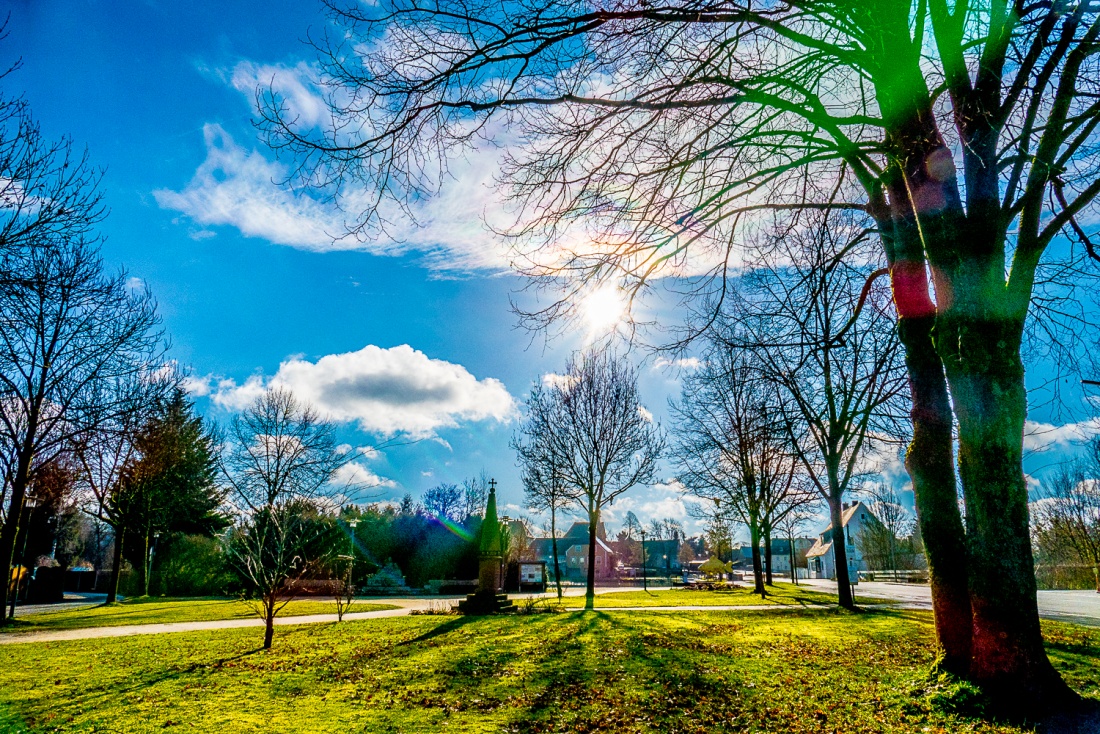 Foto: Martin Zehrer - Endlich strahlende Sonne... Klopft der Frühling schon an?! 30. Januar 2018, Nähe kemnather Stadtweiher... 