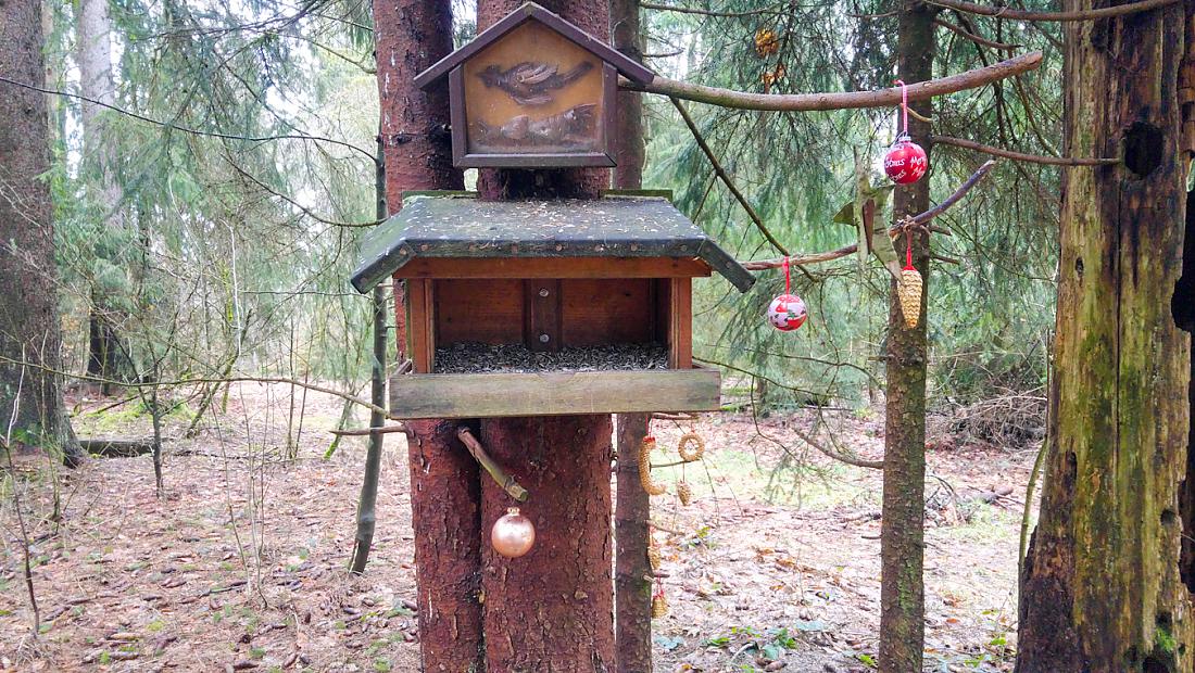 Foto: Martin Zehrer - Kössaine: Ein Vogelhäuschen mit Chritsbaumkugeln verziert ;-) 