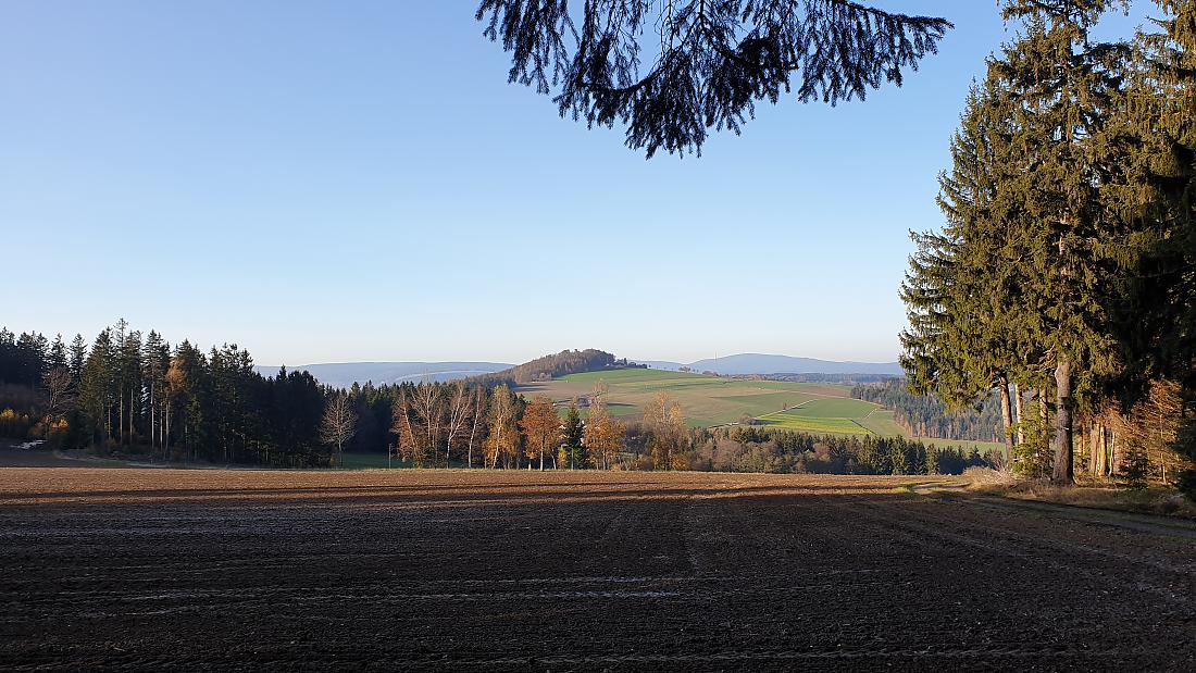 Foto: Martin Zehrer - Hammer-Wetter am 7. November 2020<br />
<br />
Die Wanderung ging von Godas nach Waldeck, von dort quer durch den Wald hinauf zum Zisslar-Hut bei Zwergau und dann wieder nach Godas 