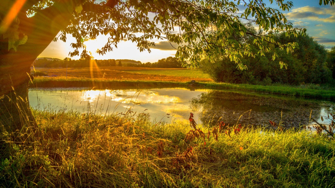 Foto: Martin Zehrer - Doch noch Sommer... Traumstimmung zum Abendspaziergang 