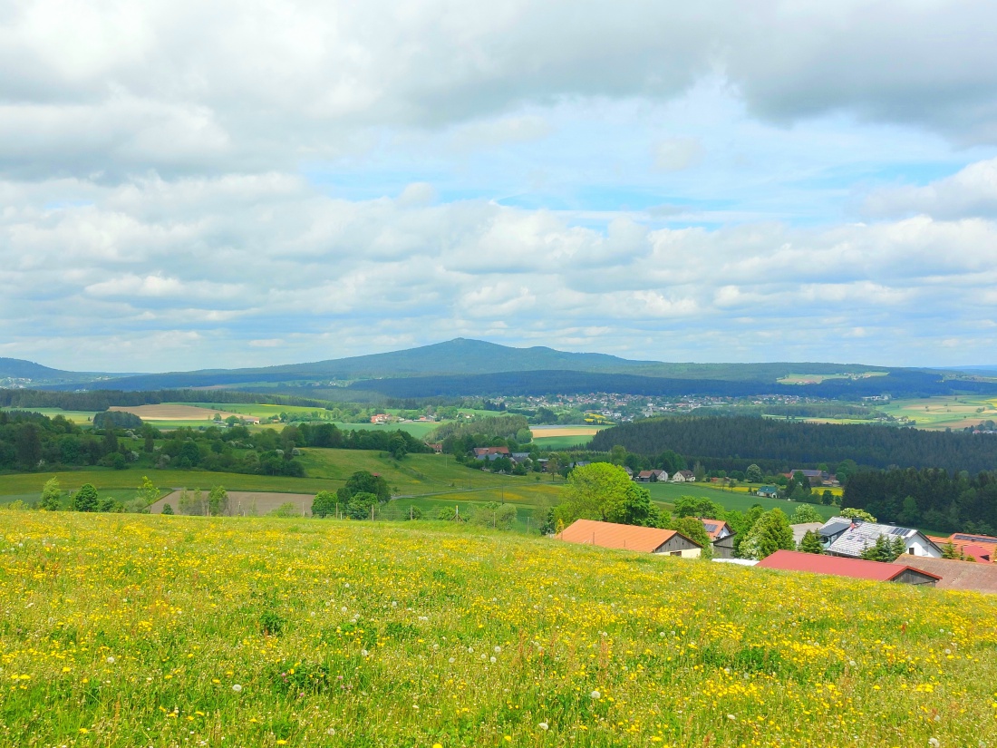 Foto: Martin Zehrer - Wunderschöne Aussicht vom Armesberg aus, über eine Kuh-Weide, in Richtung Neusorg.<br />
Auch der Berg Kösseine ist im Hintergrund zu sehen. 