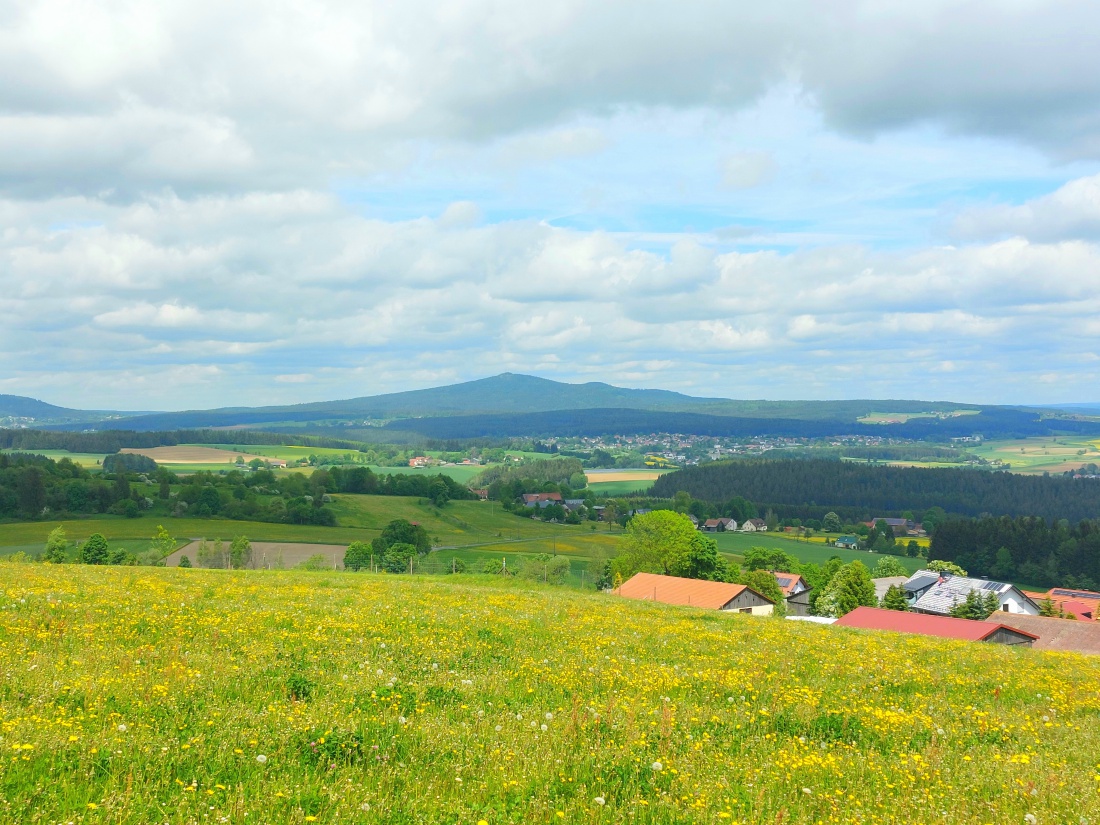 Foto: Martin Zehrer - Wunderschöne Aussicht vom Armesberg aus, über eine Kuh-Weide, in Richtung Neusorg.<br />
Auch der Berg Kösseine ist im Hintergrund zu sehen. 