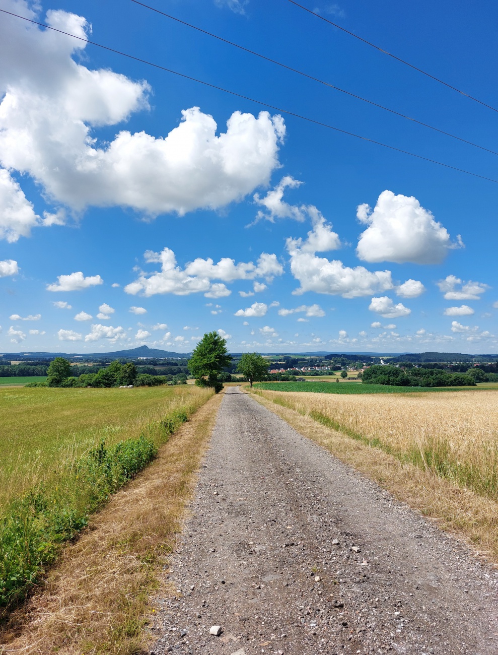 Foto: Martin Zehrer - Radtour durch den Sommer... :-) 