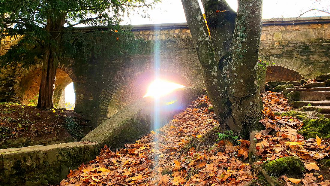 Foto: Martin Zehrer - 2. November 2020 - Die Sonne stand schon tief und strahlte unter der Brücke zur Burg Rabenstein hindurch. 