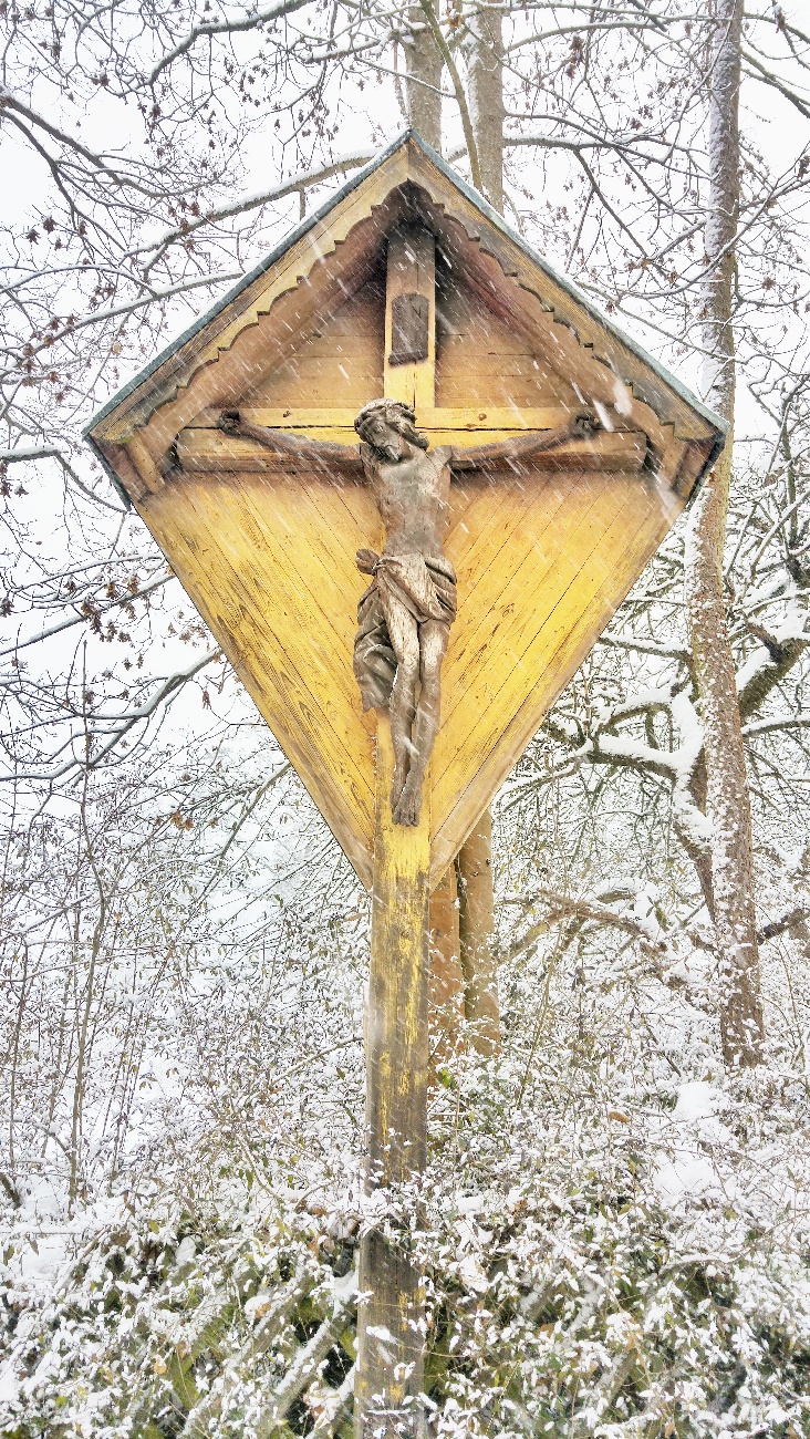 Foto: Jennifer Müller - Und wieder wird Kemnath frisch "angezuckert" ;-)<br />
Aufgenommen am 19.01.2021 bei ca. -1 Grad und heftigem Schneetreiben... 