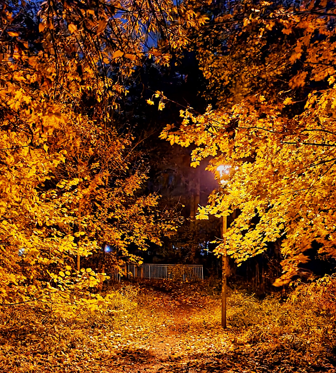 Foto: Jennifer Müller - Romantische Kemnath-Nacht-Runde. 