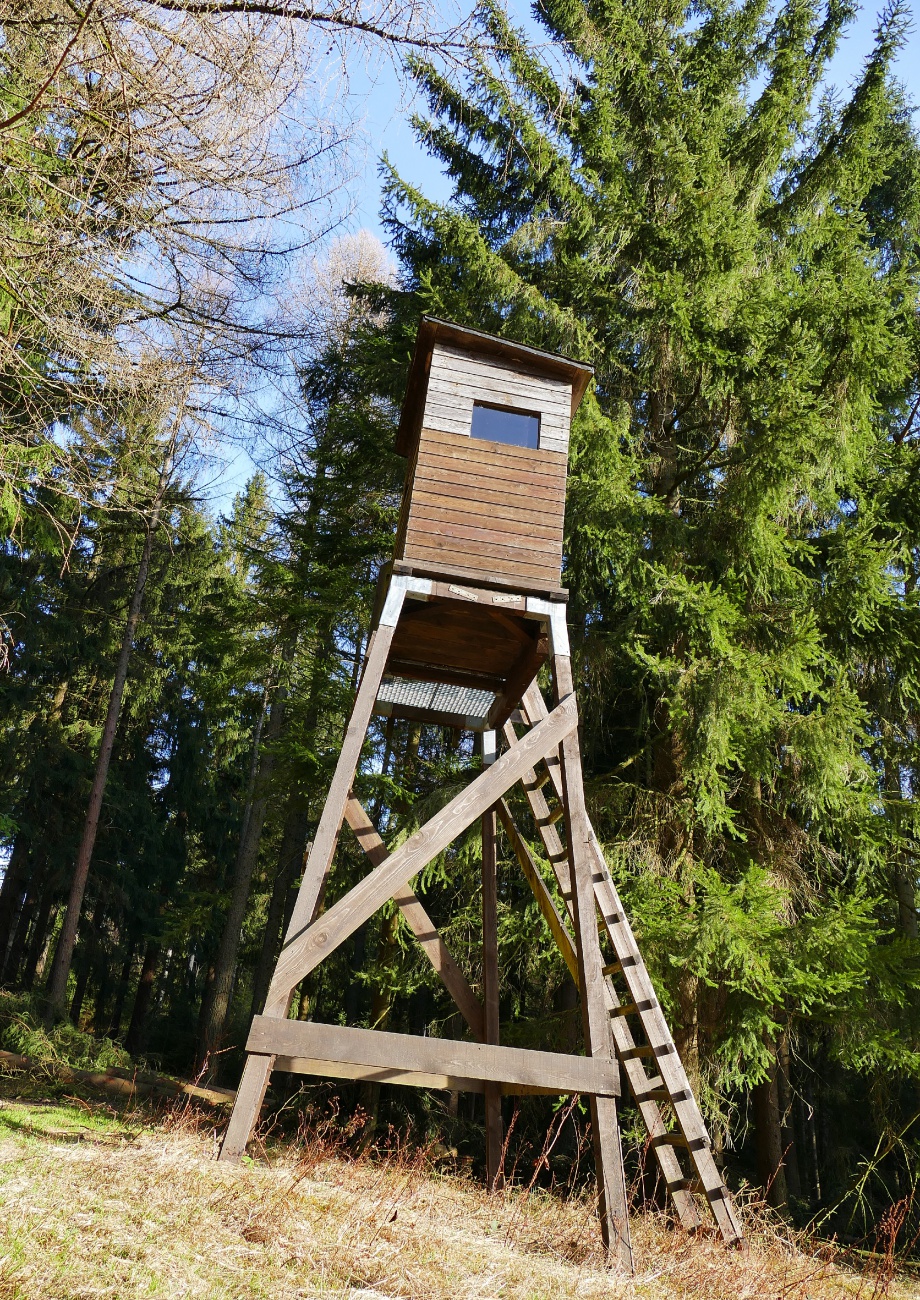 Foto: Martin Zehrer - Ein Jägersitz  