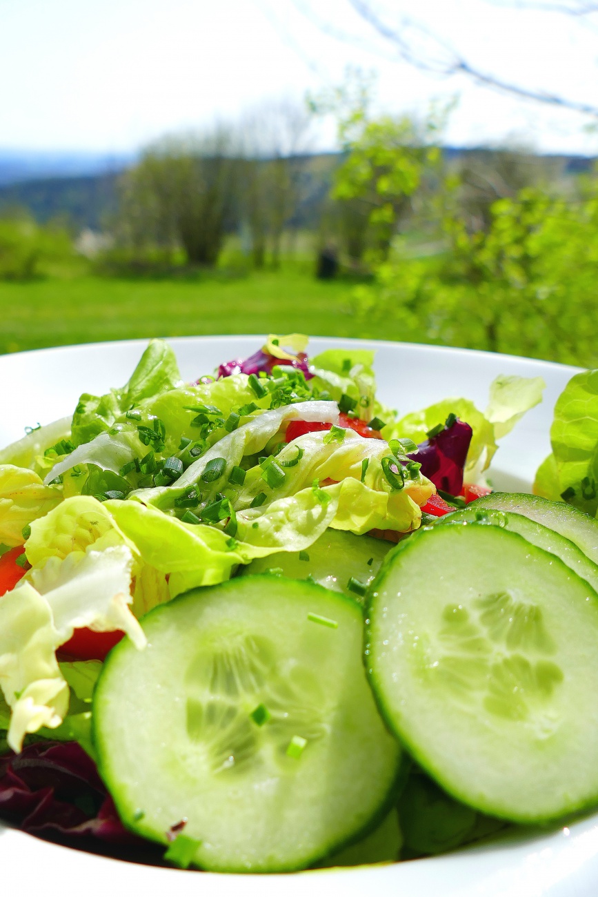 Foto: Martin Zehrer - Leckerer Salat auf dem Armesberg... 