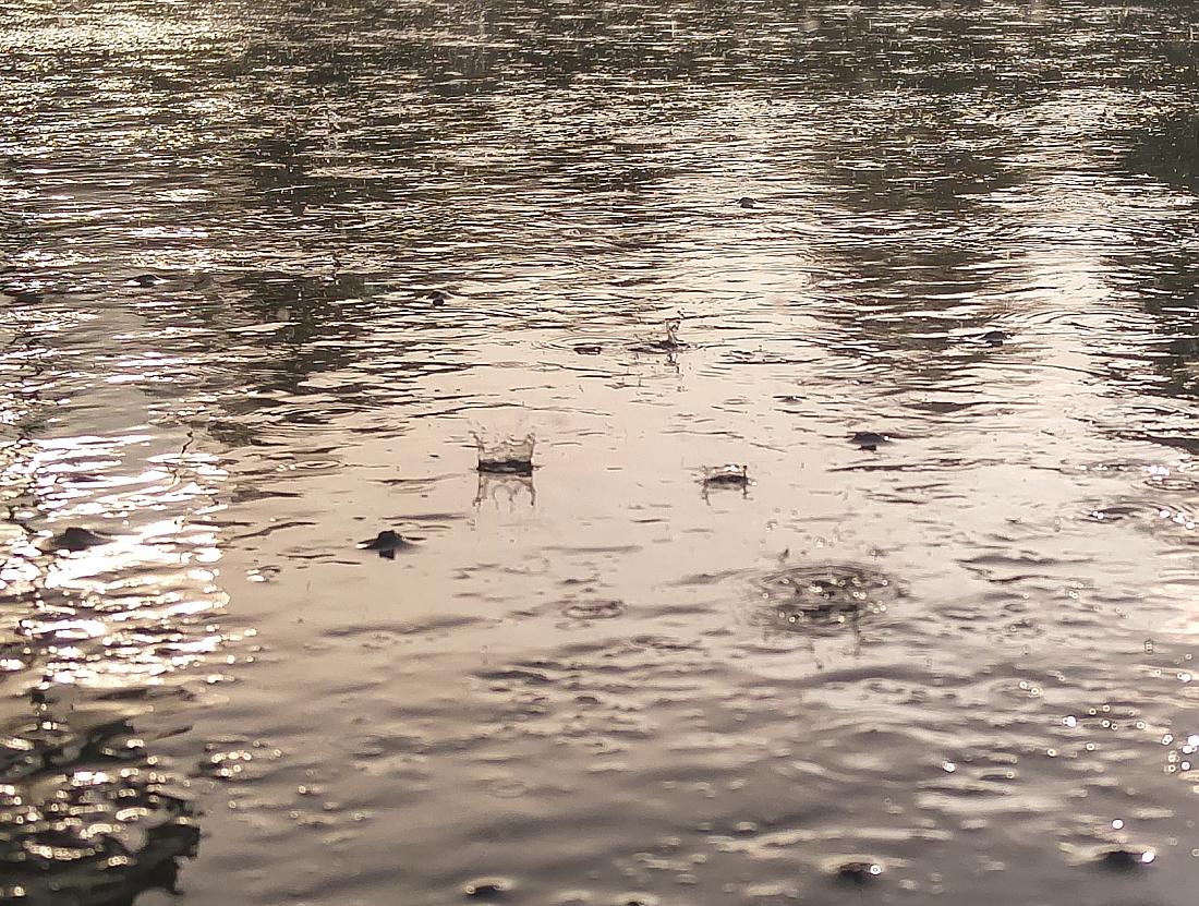 Foto: Martin Zehrer - 3. August 2019 - Endlich Regen in Bayreuth... Uns erwischte der Schauer auf dem Uni-Gelände... Ca. 15 Minuten lang prasselten die Tropfen auf die Erde. 