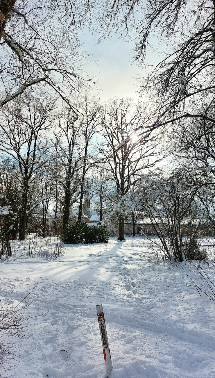 Winter im kemnather Stadtpark...