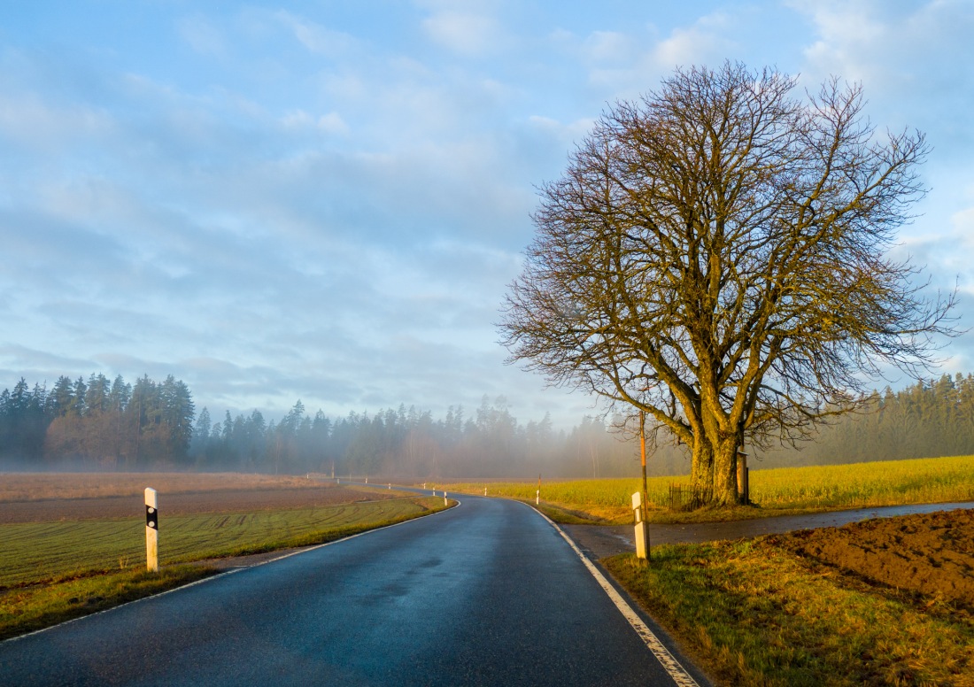 Foto: Martin Zehrer - Früh-Erwachen<br />
<br />
15.12.2016 bei Hermannsreuth 