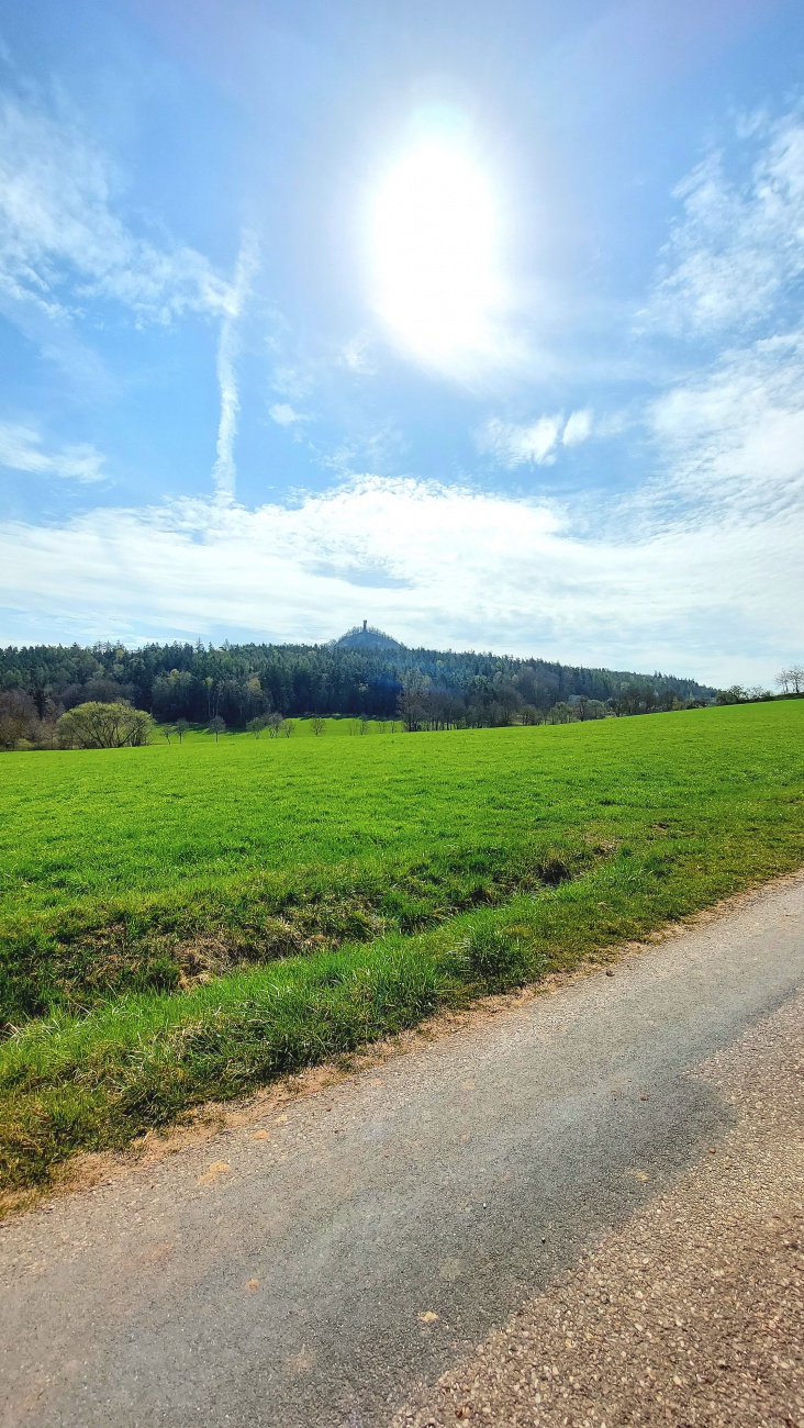 Foto: Martin Zehrer - Der Rauhe Kulm im Frühlingsgewand... 