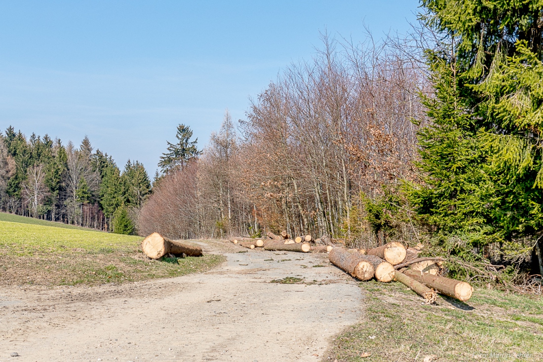 Foto: Martin Zehrer - Holz-Rücken... ;-)<br />
<br />
Samstag, 23. März 2019 - Entdecke den Armesberg!<br />
<br />
Das Wetter war einmalig. Angenehme Wärme, strahlende Sonne, die Feldlerchen flattern schreiend ü 