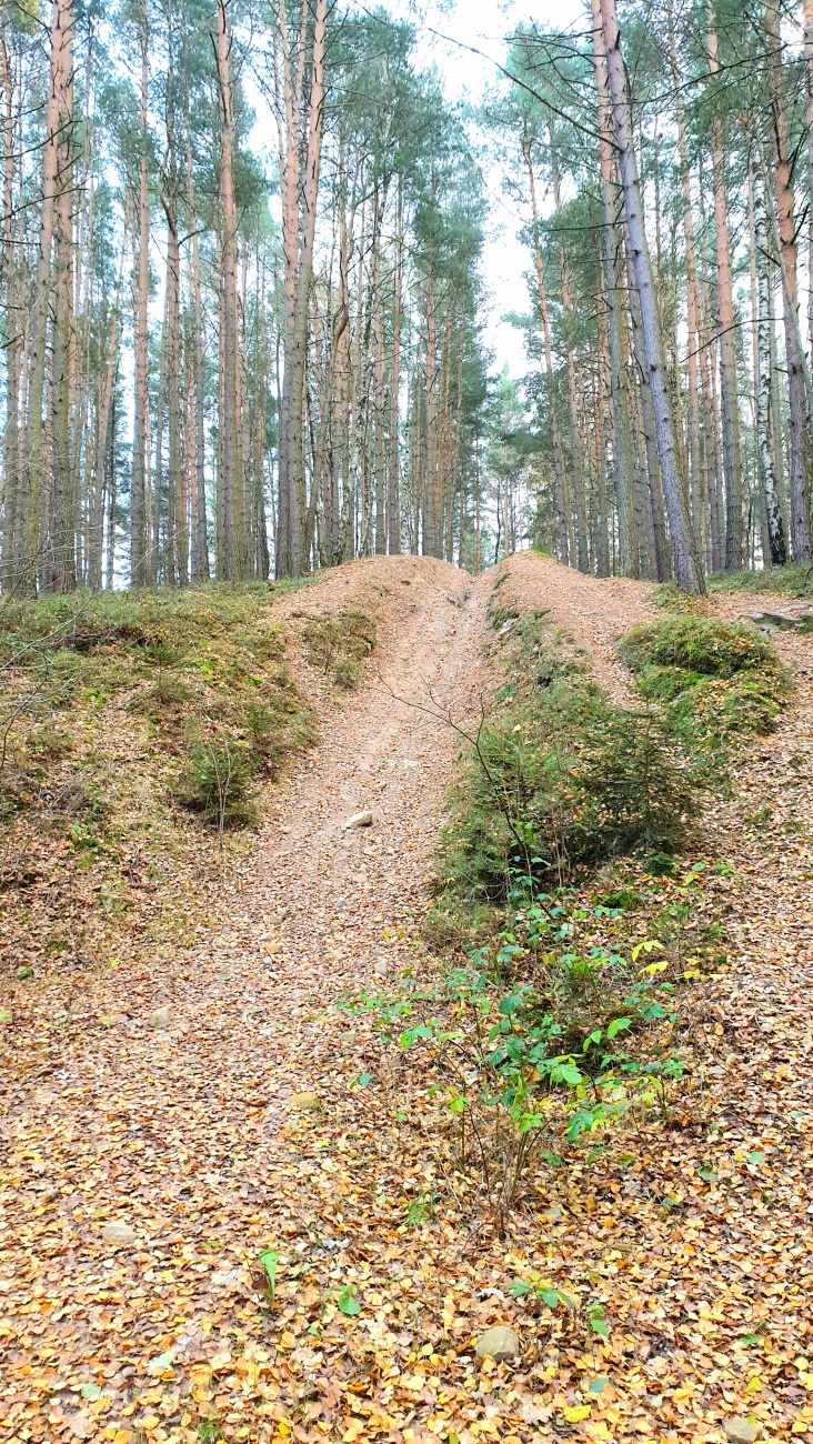 Foto: Martin Zehrer - Die berühmte Sprungschanze im Wald bei Eisersdorf... 