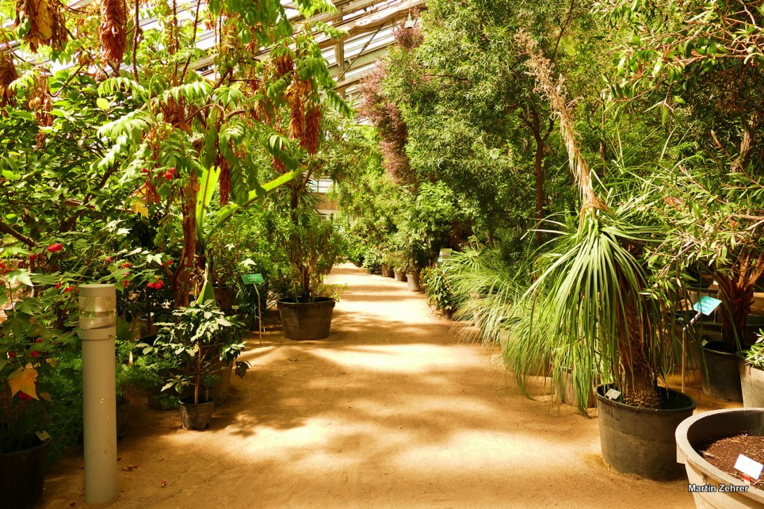 Foto: Martin Zehrer - Ökologisch-Botanischen Garten in Bayreuth. Ausspannen in der Frühlingssonne. Die Blätter rauschen im Wind, Vögel zwitschern um die Wette, das Wasser plätschert im kleinen 