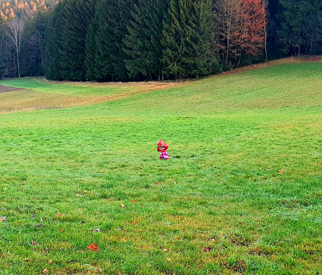 Foto: Martin Zehrer - Zwei Herz-Luftballons flogen über Godas und landeten dann auf einer Wiese beim Helmes-Wald.<br />
23. November 2020 