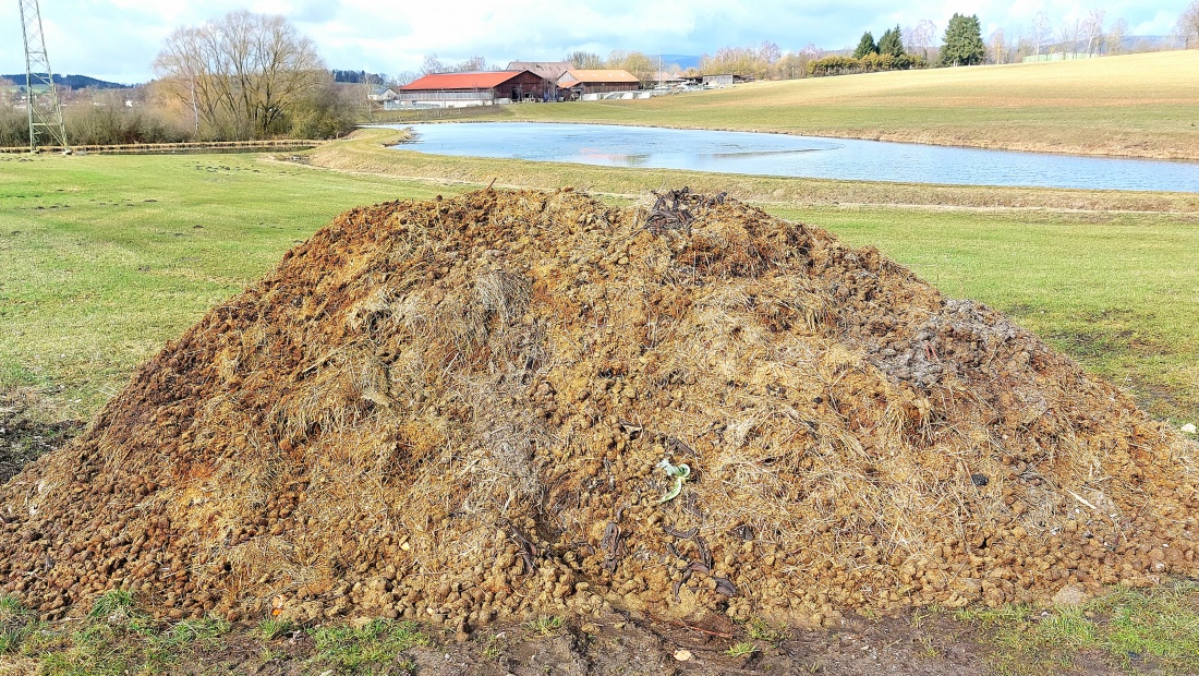 Das Gold des Bauern - Ein wunderschöner Misthaufen mitten in der Landschaft...

Am 24. Februar 2026 war das Wetter bei Kemnath sehr frühlingshaft.
Die Temperatur lag so ca. bei +14 Grad, die Vögel pfiffen um die Wette und es lag der Duft von frisch aufgetauter Erde in der Luft.
Die Wolken wetteiferten mit der Sonne um die Vorherrschaft.