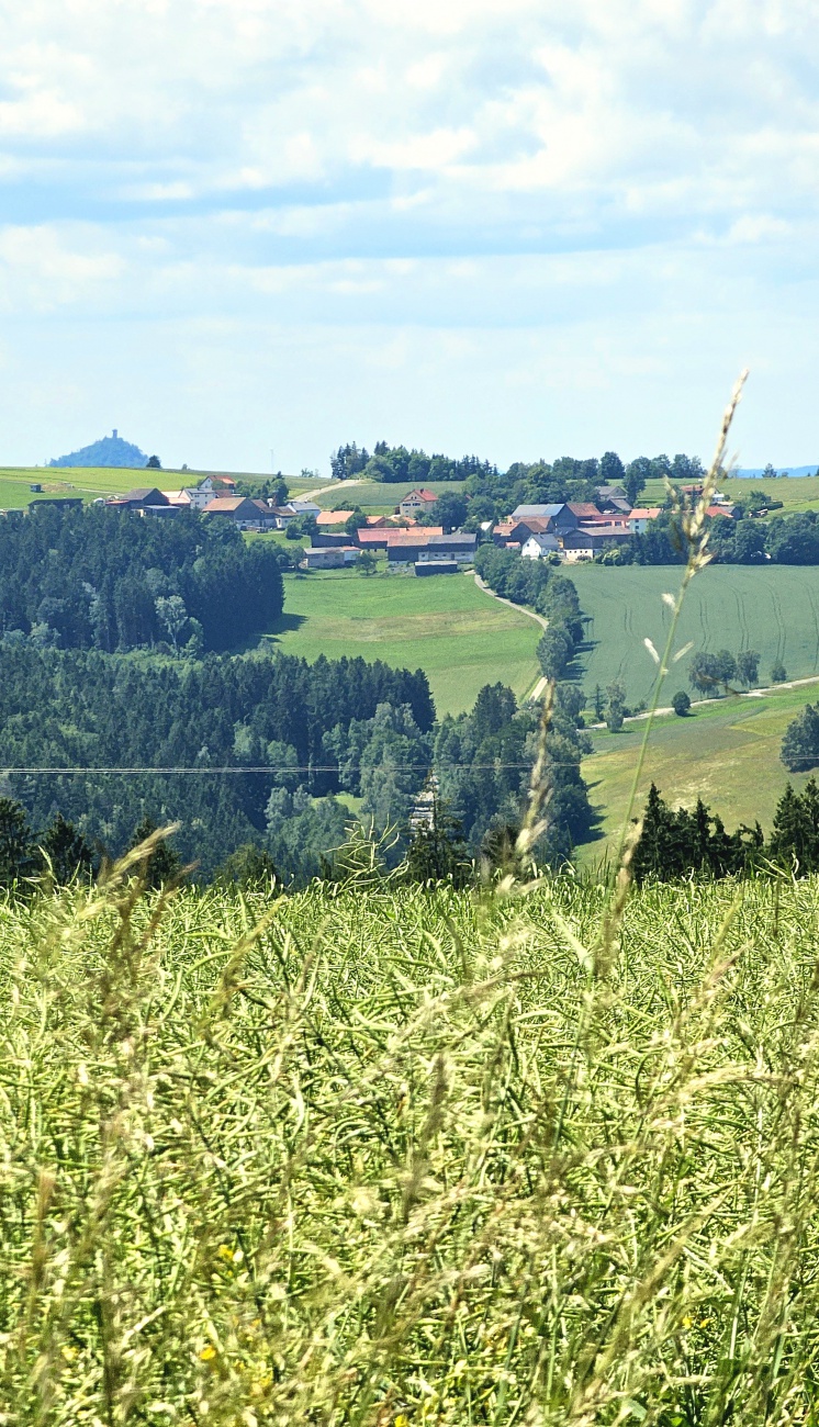 Der Blick vom Steinwald aus nach Godas rüber, im Hintergrund trohnt der Rauhe Kulm...