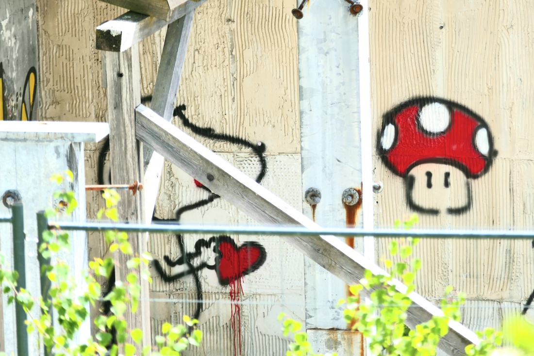 Foto: Martin Zehrer - Wer kennt dieses liebe Hündche nicht... Snoopy als Graffiti an einer Wand der Schwimmbad-Ruine in Fichtelberg. 