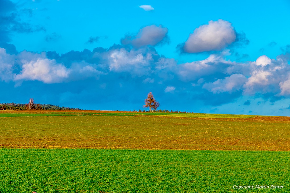 Foto: Martin Zehrer - Frühling im Anmarsch! ;-) Zwischen Neusorg und Pullenreuth erwischt... 