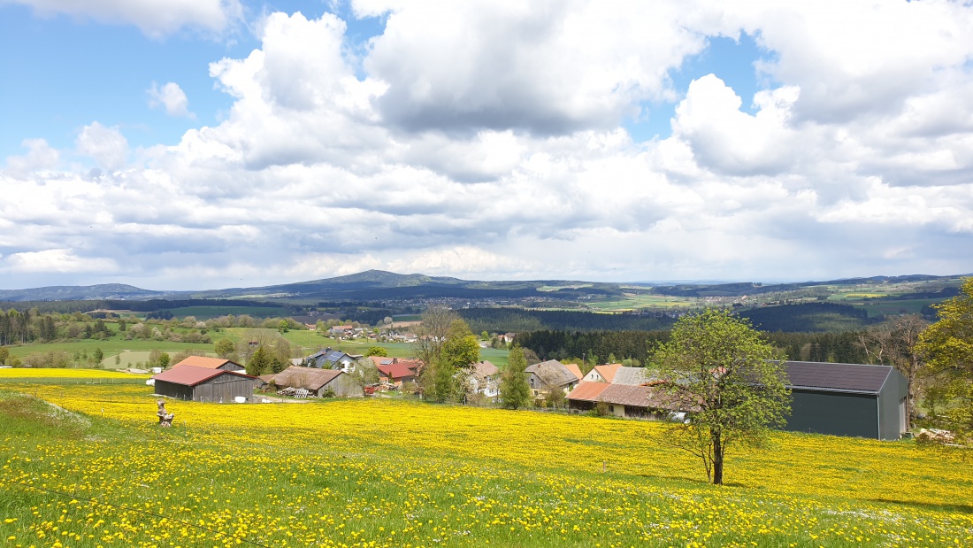 Foto: Martin Zehrer - Das ist mal ein Ausblick...<br />
<br />
Vom Armesberg über die Kuhweide, in Richtung Kösseine ;-) 