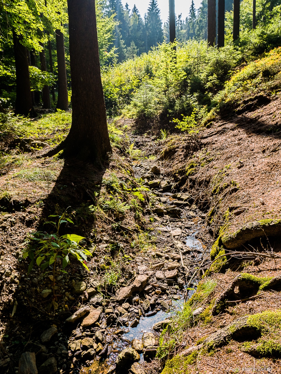 Foto: Martin Zehrer - 28. September 2018 - Der Godas-Bach oder von den einheimischen auch Goudas-Boch genannt ist ausgetrocknet. Obwohl es die letzten Wochen doch immer wieder mal vereinzelt s 