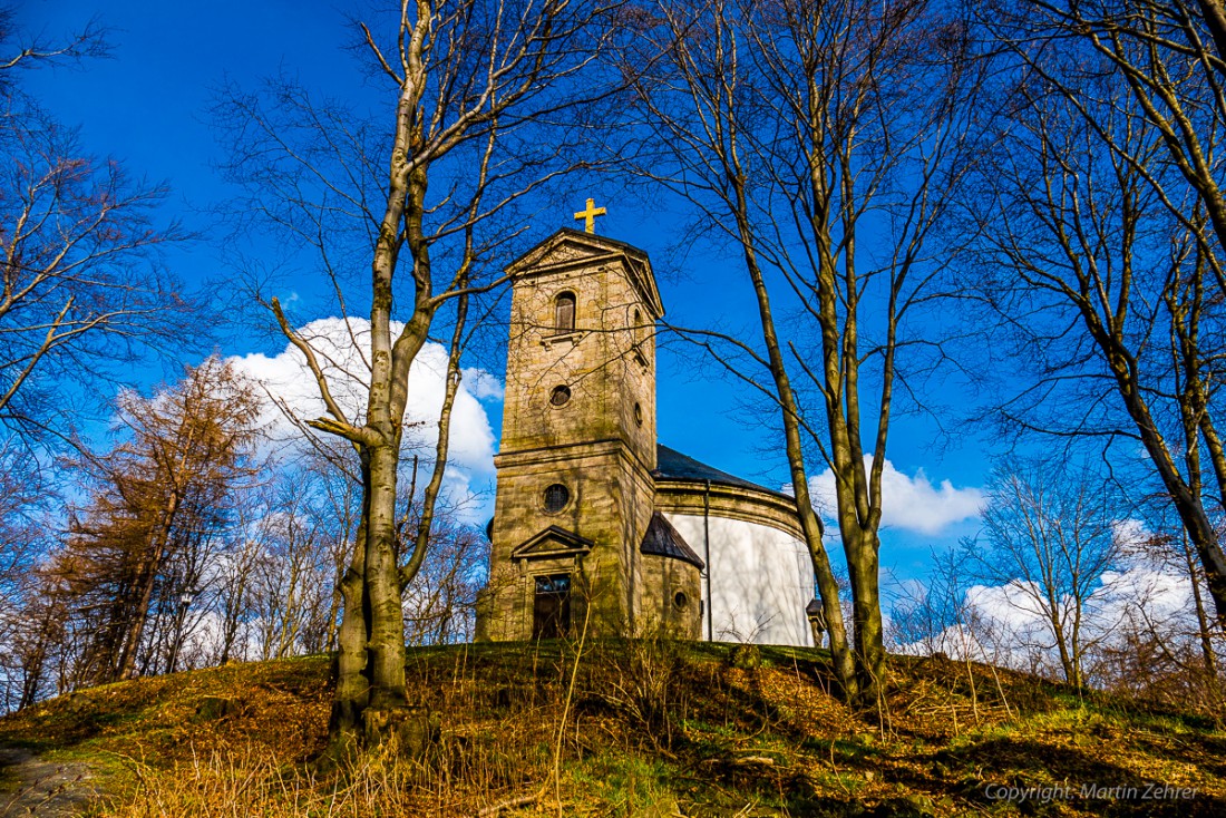 Foto: Martin Zehrer - Frühling auf dem Armesberg. Erste Hummeln fliegen durch die Gegend. Schmetterlinge lassen sich entdecken. Grüne kleine Pflanzen drücken mit aller Kraft durch das Herbstla 