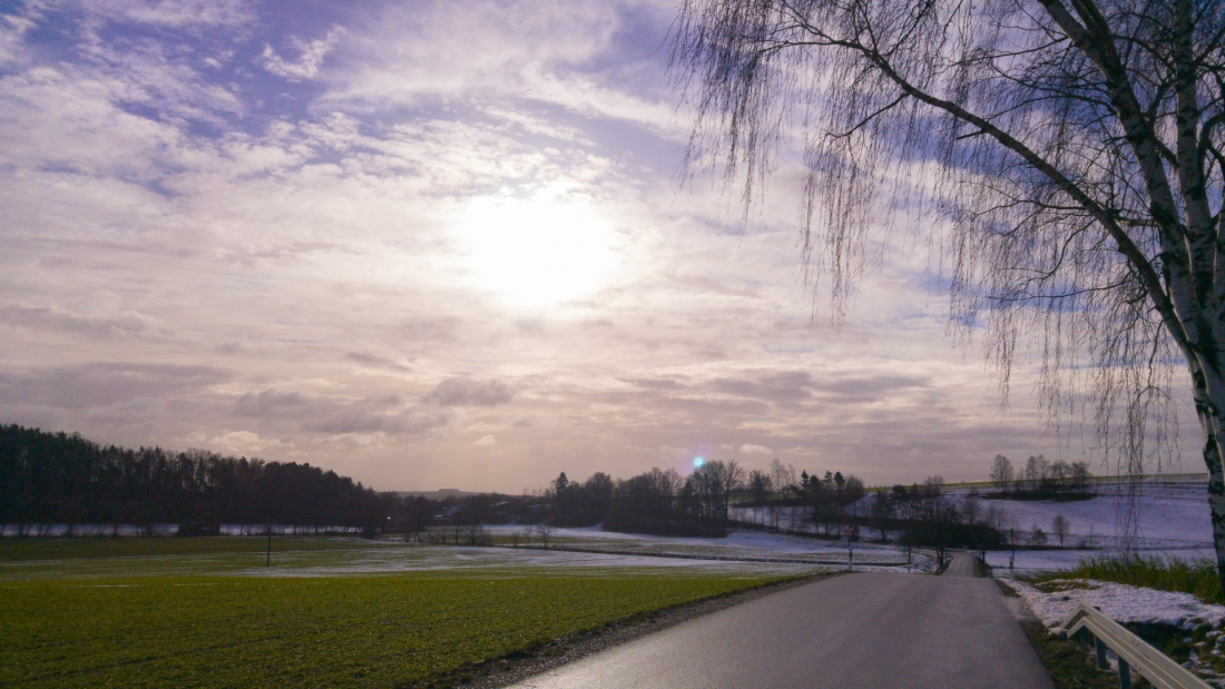 Foto: Martin Zehrer - Ein Hauch von Frühling... Zwischen Berndorf und Immenreuth, am 14. Januar 2019 