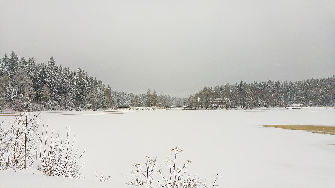 Foto: Jenny Müller - Fichtelsee... Wunderbare Schneelandschaft am 08.01.2021 bei ca. -2 Grad. 