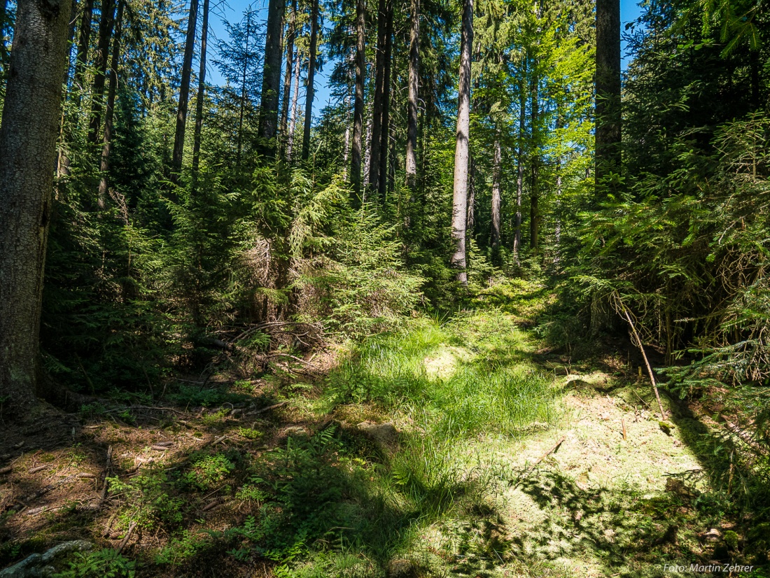 Foto: Martin Zehrer - Radtour von Kemnath nach Waldershof, quer durch den Kösseine-Wald...<br />
<br />
Da gings runter in die Sackgasse unterhalb der Kösseine ;-) 