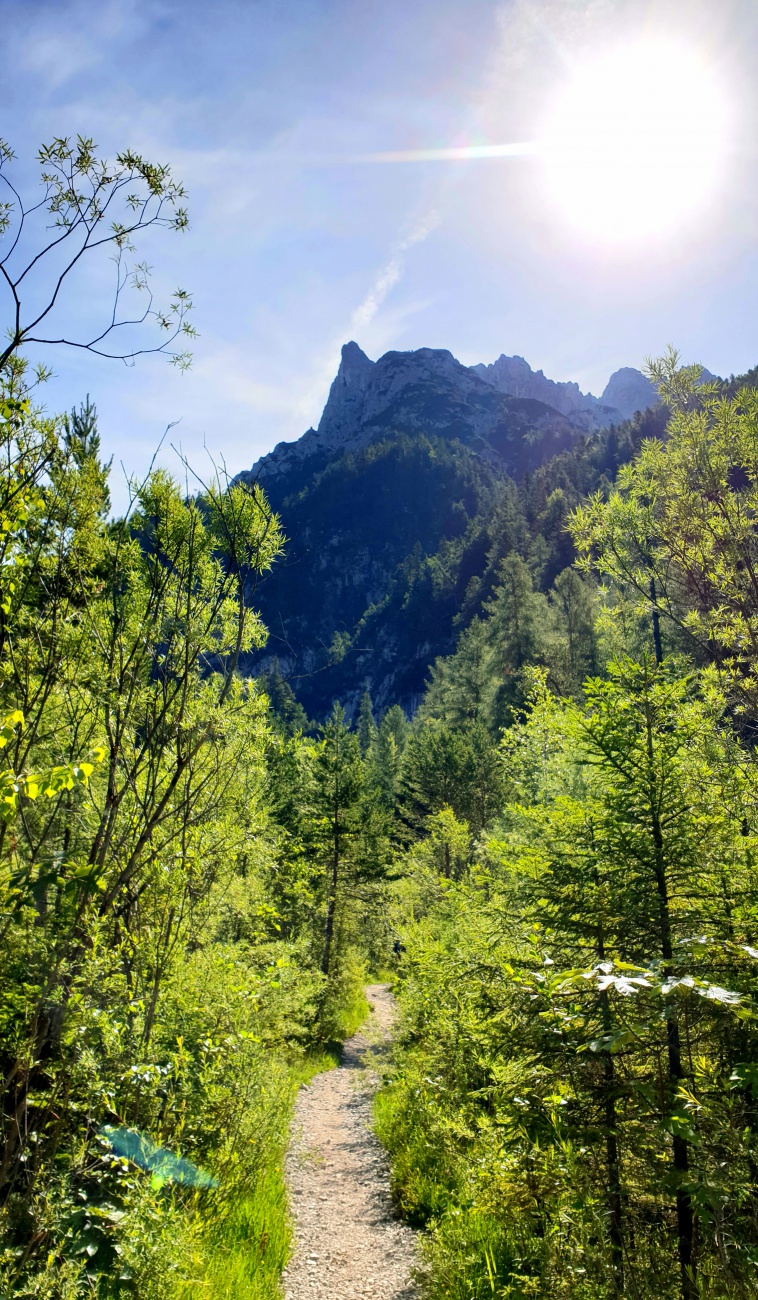 Foto: Martin Zehrer - Anfangs war der Steig zur Mittenwalder Hütte noch ziemlich angenehm... 