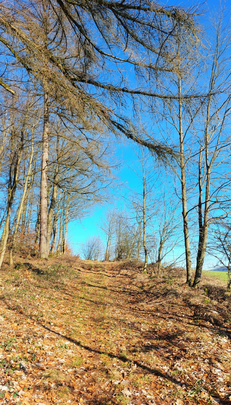 Foto: Martin Zehrer - Aufstieg zum Armesberg.  Oben wartet das Mesnerhaus und die Brotzeit.  