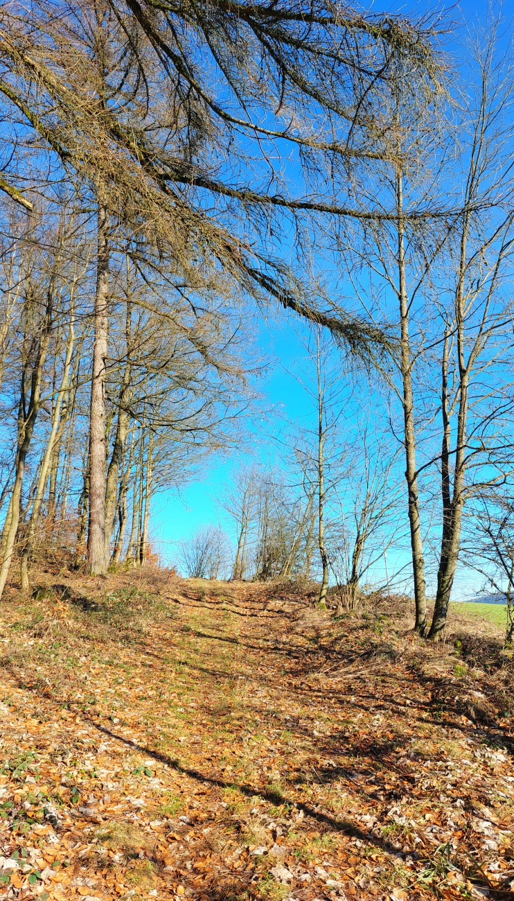 Foto: Martin Zehrer - Aufstieg zum Armesberg.  Oben wartet das Mesnerhaus und die Brotzeit.  