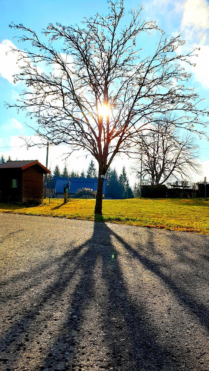 Foto: Martin Zehrer - Schatten-Tentakeln... Ein sonniger aber auch kalter Tag. Aus dem Bauch heraus entschieden wir uns für eine kleine Wanderung von Babilon nach Hermannsreuth. 